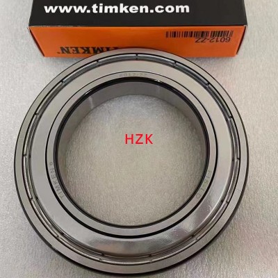 6007bearing