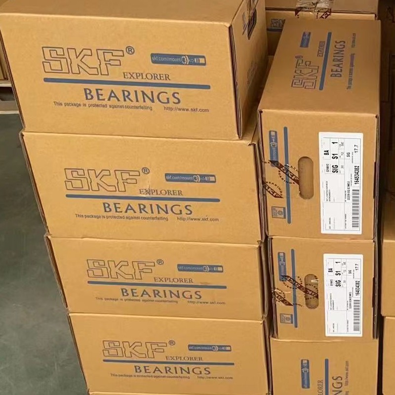 Double Deep Groove Ball Bearing Suppliers –  SKF bearing 6300 6301 6302 6303 6304 6305 6306 2Z 2RS1 RS1 ZZ Z SKF  – Nice Bearing