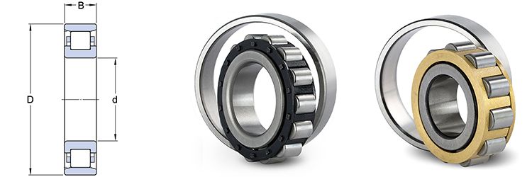Cylindrical Roller Bearings NJ14
