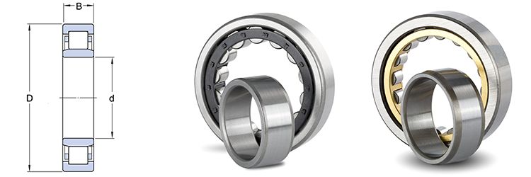 Cylindrical Roller Bearings NJ13