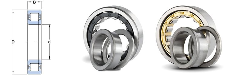 Cylindrical Roller Bearings NJ16